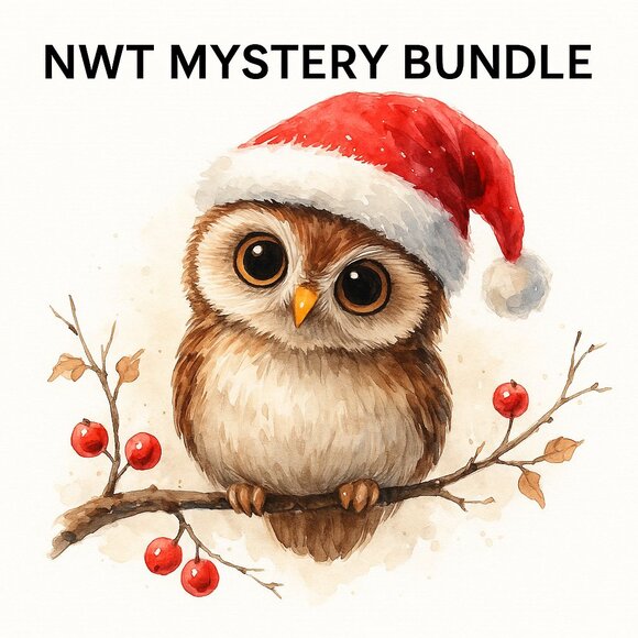 🎁 NWT Mystery Bundle — Moving Liquidation — Pick Your Number! - Picture 1 of 1